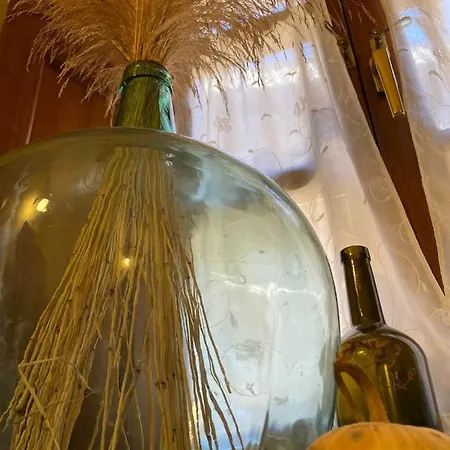Casa Abedul *