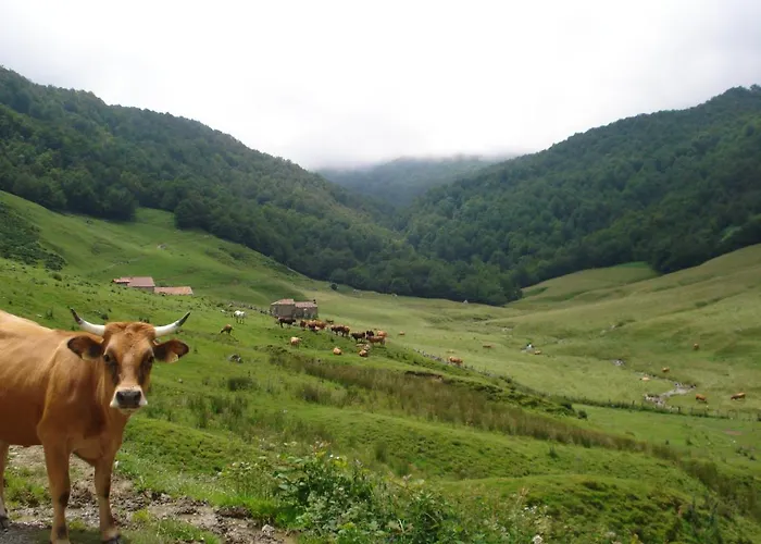 Holiday home Casa Abedul Puebla de Lillo