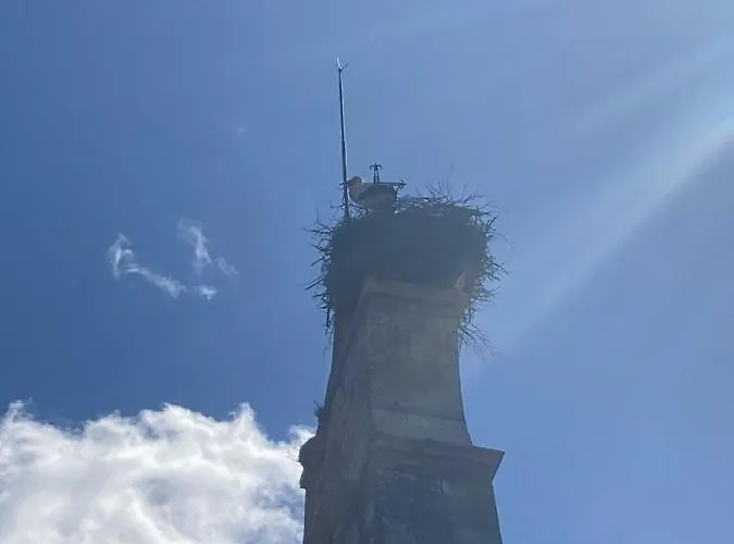 Holiday home Casa Abedul